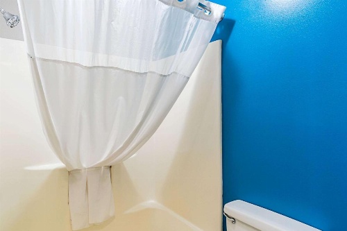 Quality Inn Harrisonburg I-81 image 18